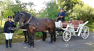 In der Hochzeitskutsche zur Burg